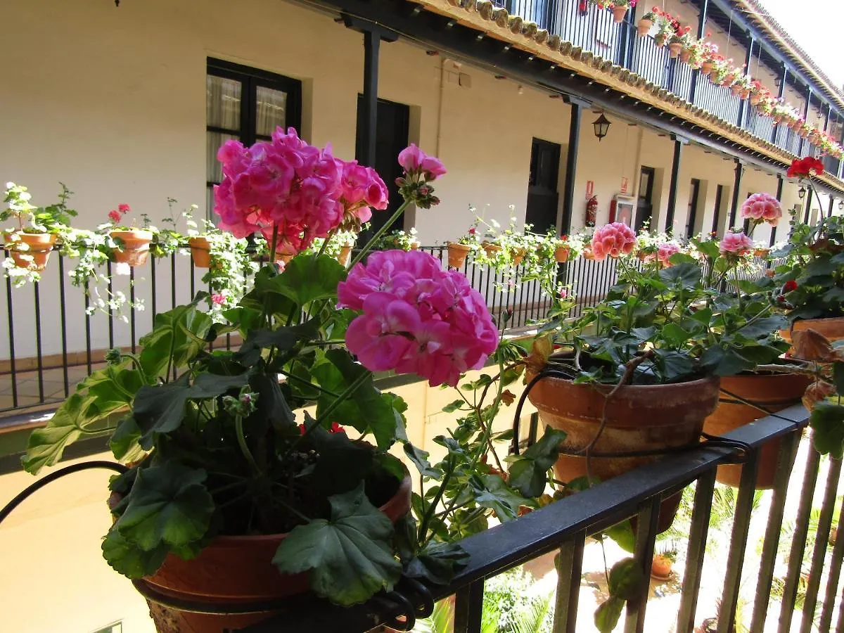 Apartamento Alameda contacts